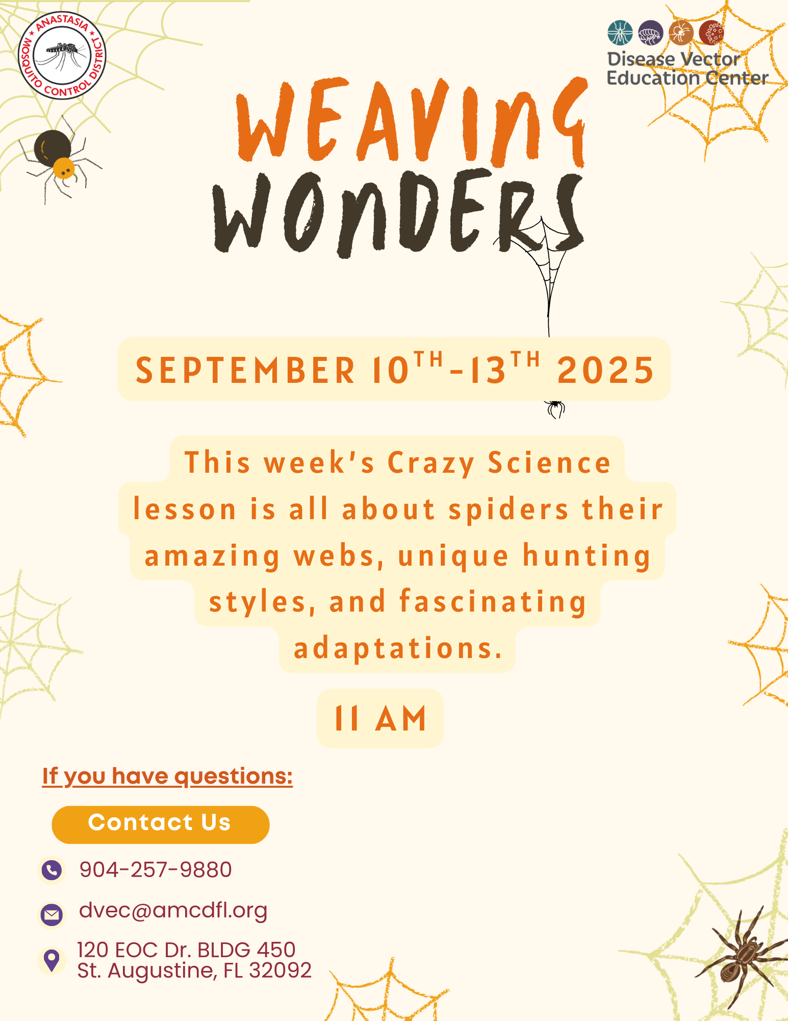 Weaving Wonders