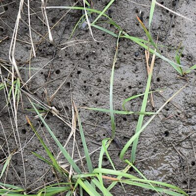 Image for choice number 3