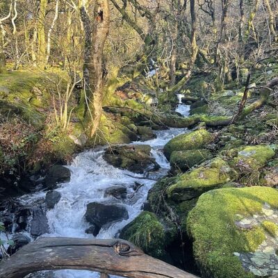 Image for choice number 1