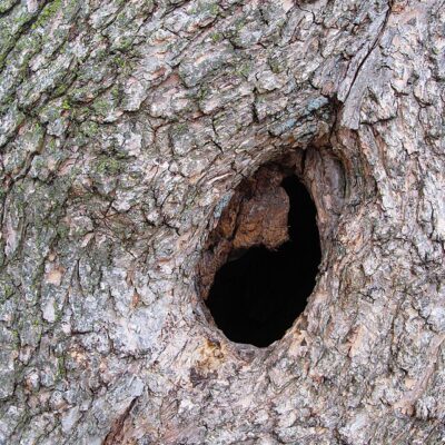 Image for choice number 2