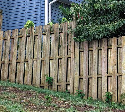 Image for choice number 5